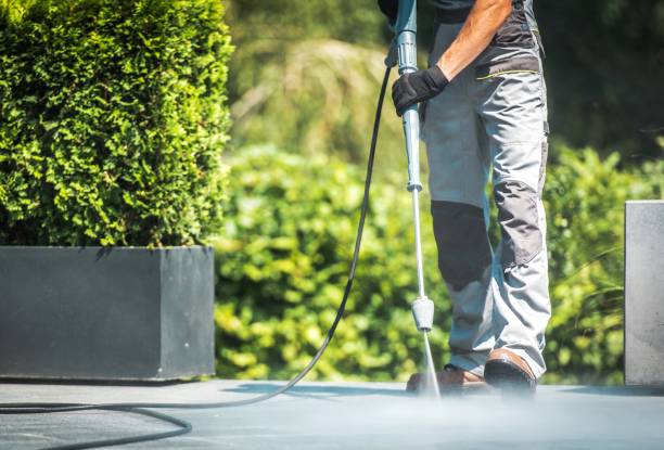 Best Pre-Holiday Cleaning  in Gman, IL