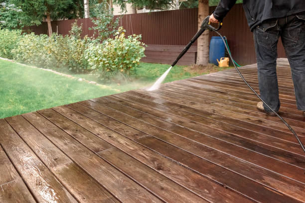 Best Boat and Dock Cleaning  in Gman, IL